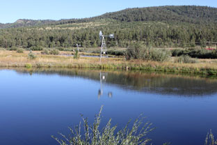 greer meadow lakes